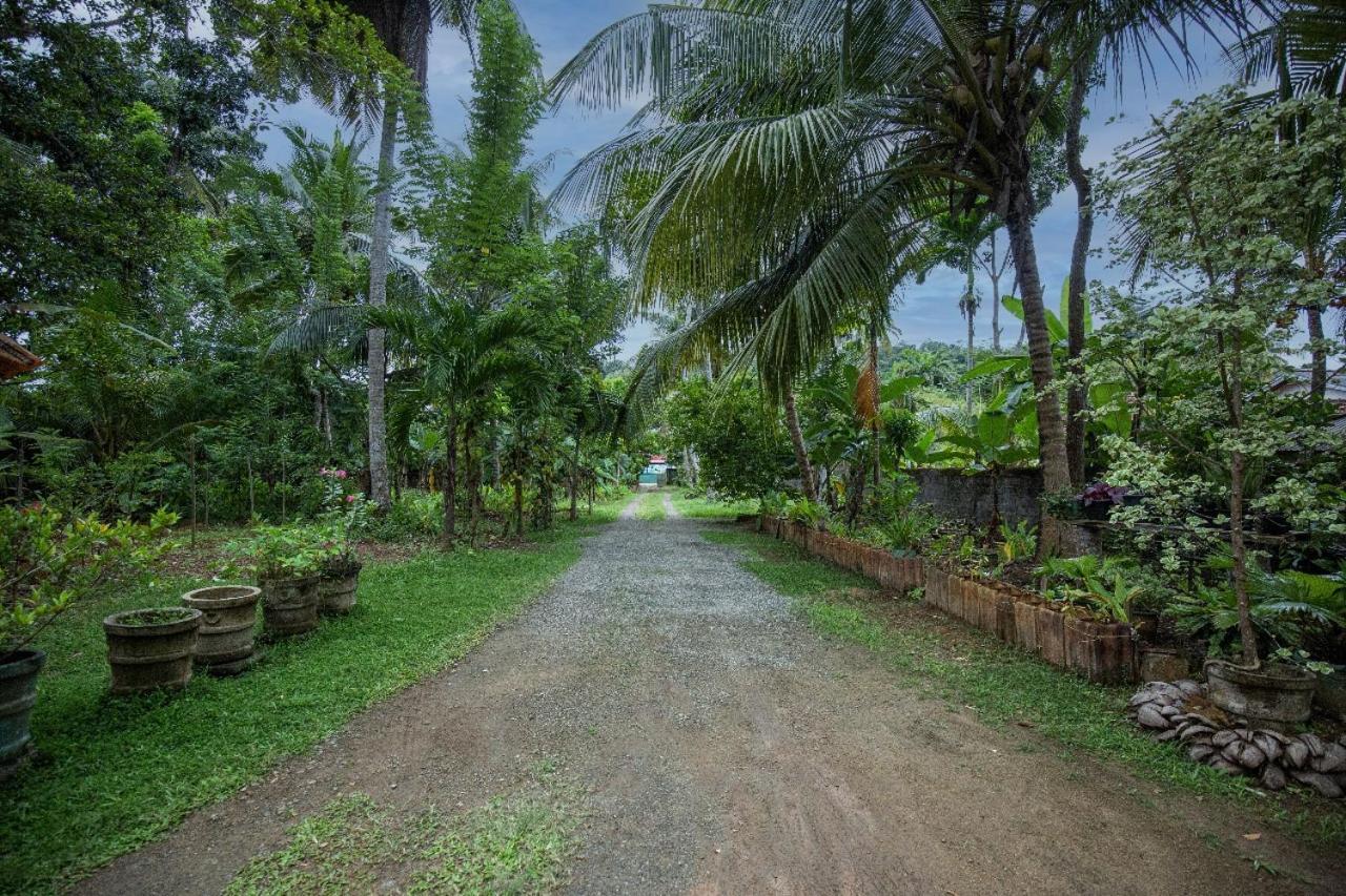 Homejay Residancies Unawatuna Exterior foto