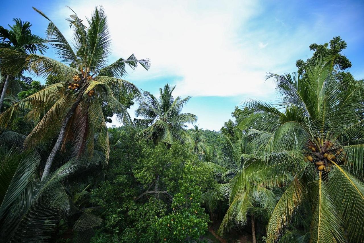 Homejay Residancies Unawatuna Exterior foto